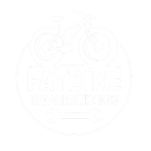 Fatbike Reparatie Amersfoort